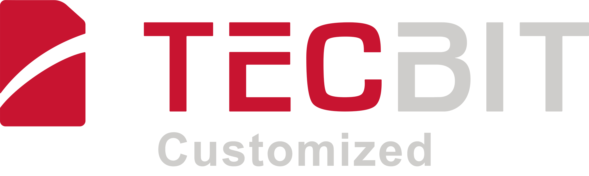 TecBIT Customized Logo